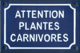 Attention plantes carnivores