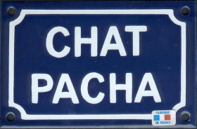 Chat pacha