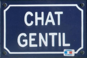 Chat gentil