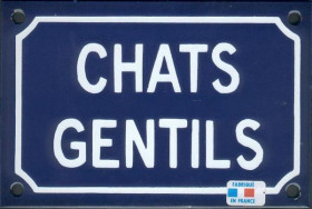 Chats gentils