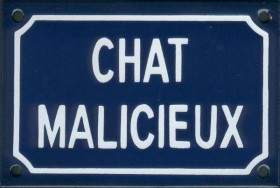 chat malicieux