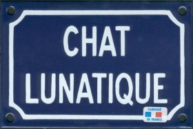 Chat lunatique