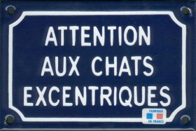 Attention aux chats excentriques