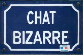 Chat bizarre