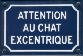 Attention au chat excentrique