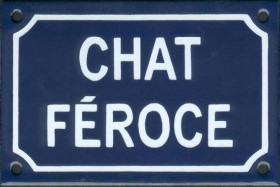 Chat féroce