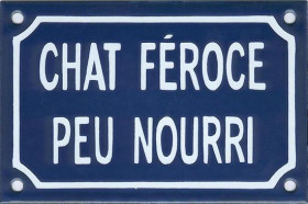 Chat féroce peu nourri