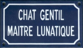 Chat gentil maitre lunatique