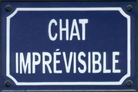 Chat imprévisible