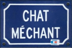 Chat méchant