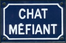 Chat méfiant