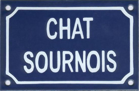 Chat sournois