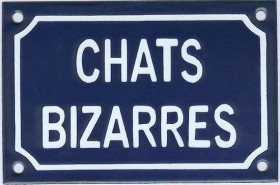 Chats bizarres