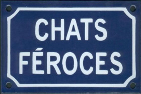 Chats féroces