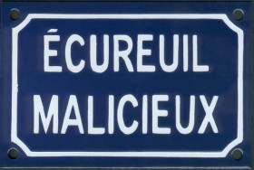 Ecureuil malicieux