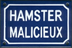 Hamster malicieux