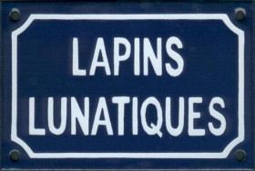 Lapins lunatiques