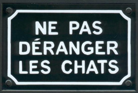 Ne pas déranger les chats