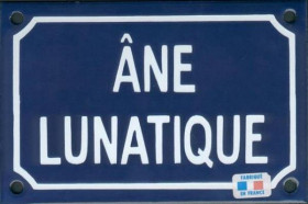 Ane lunatique