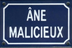 Ane malicieux