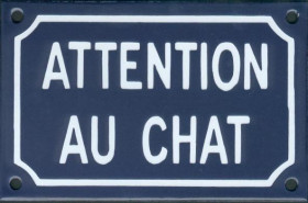 Attention au chat