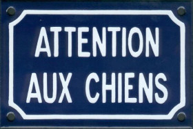 attention aux chiens