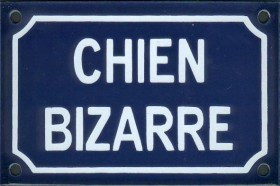 Chien bizarre