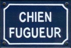 Chien fugueur