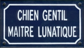 Chien gentil maitre lunatique