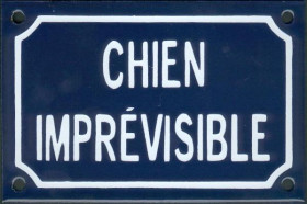 Chien imprévisible