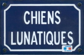 Chiens lunatiques