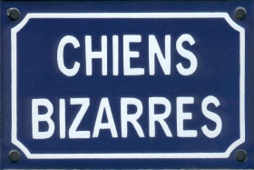 Chiens bizarres