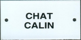 L42 chat calin