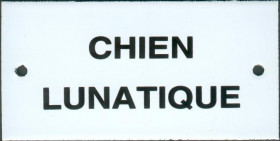 L31 : chien lunatique