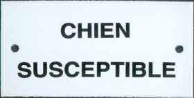 L32 : chien susceptible