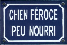 Chien féroce peu nourri