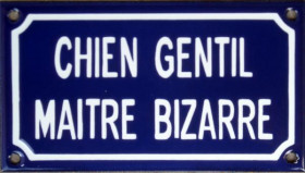 Chien gentil maitre bizarre