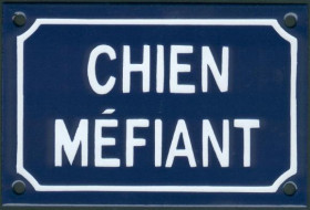 Chien méfiant