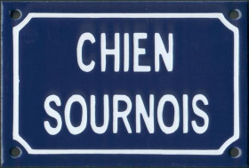 45 Chien sournois