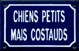 Chiens petits mais costauds