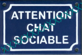 attention chat sociable