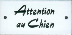 L3 : attention au chien (écriture rustique)