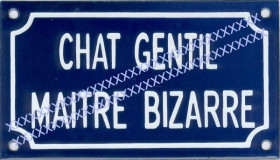 Chat gentil maitre bizarre