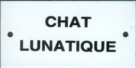 L41 chat lunatique