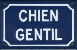 chien gentil