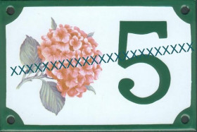 Hortensia rose 70325 A