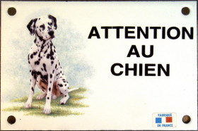 Dalmatien assis